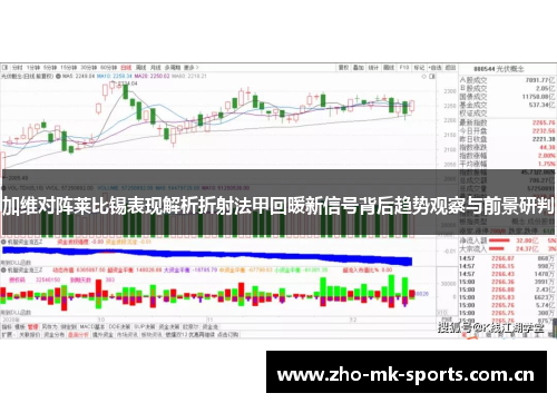 加维对阵莱比锡表现解析折射法甲回暖新信号背后趋势观察与前景研判